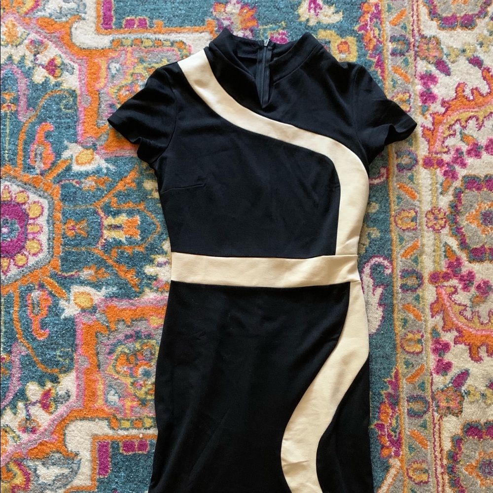 Size S Rephyllis Black and Beige Dress